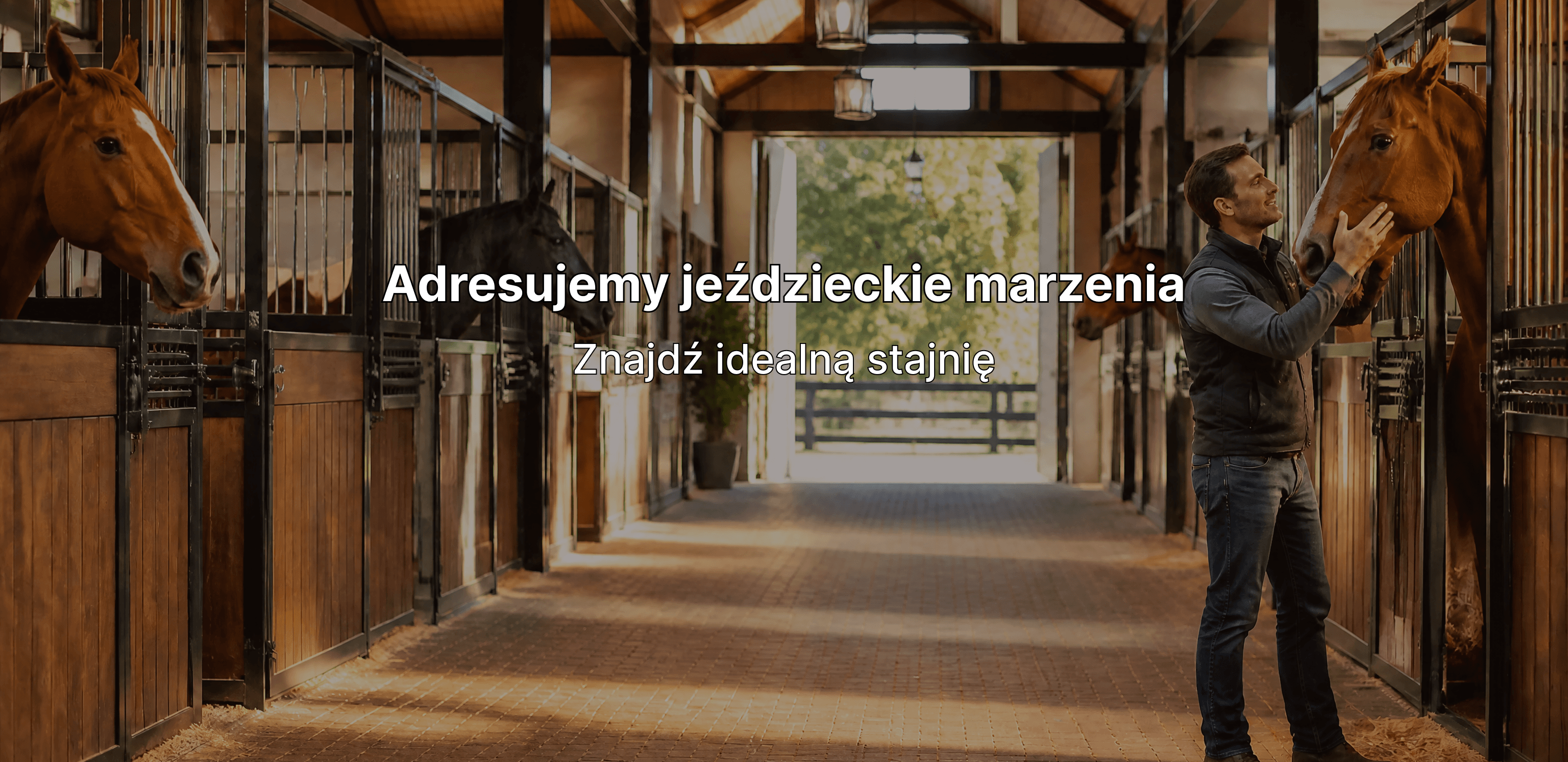 Adresujemy jeździeckie marzenia — Znajdź idealną stajnię